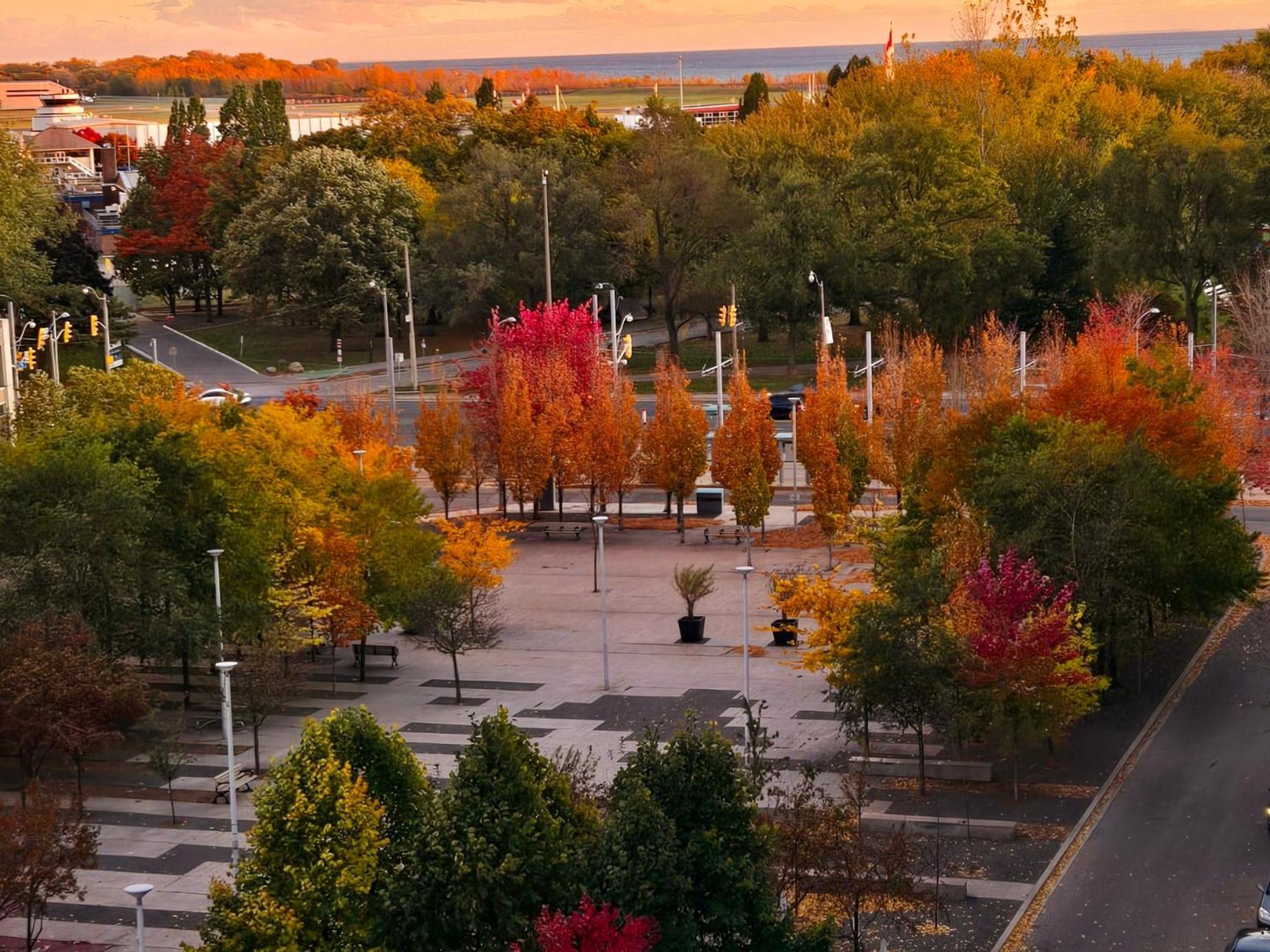 Lakeview Condo In Downtown With Free Parking. Торонто Экстерьер фото